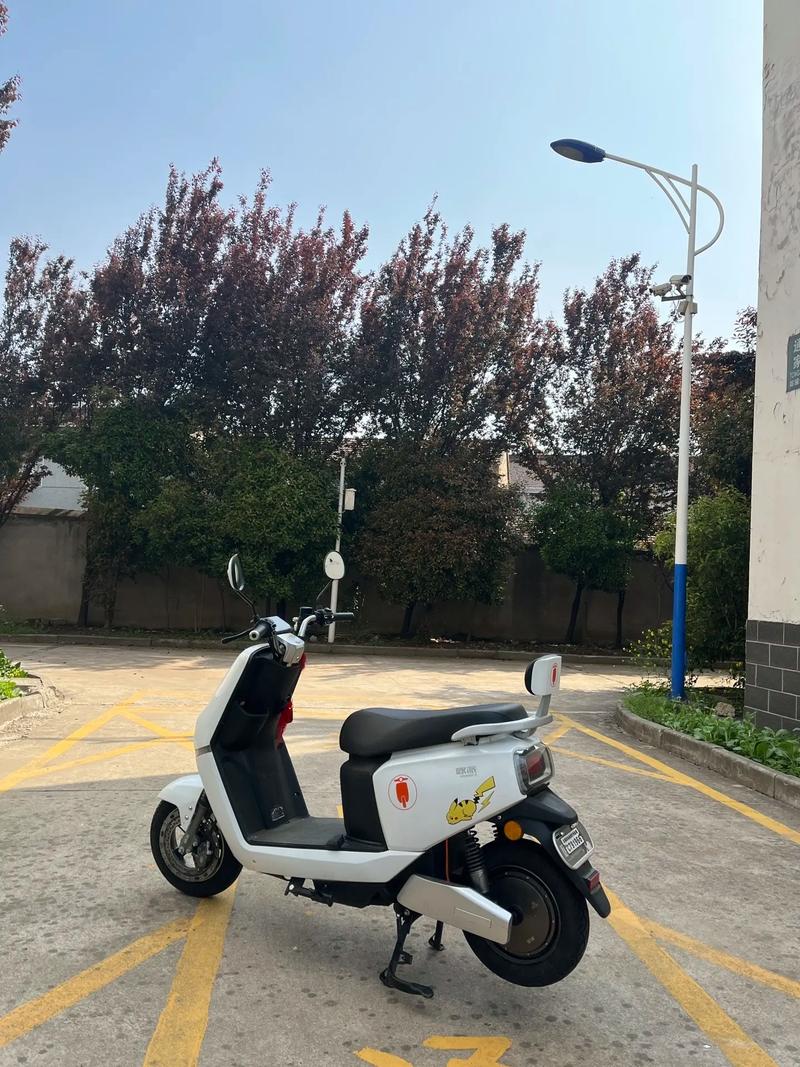 欧派电动车质量排名(欧派电动车质量排行)