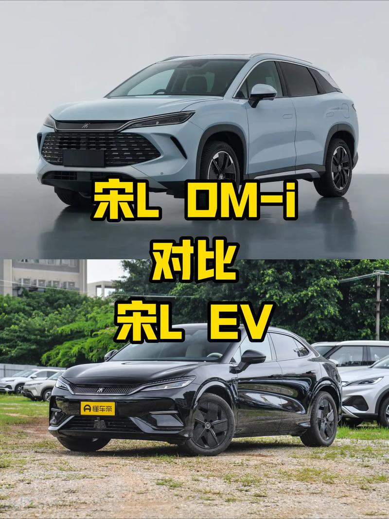 比亚迪宋是油车还是电车／比亚迪宋是油车还是电车啊