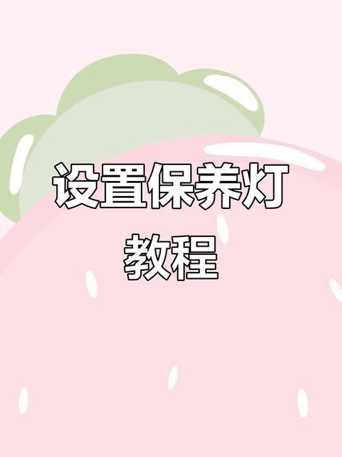 奇瑞a3/奇瑞a3保养灯怎么消除