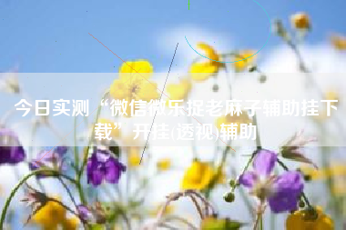 今日实测“微信微乐捉老麻子辅助挂下载	”开挂(透视)辅助