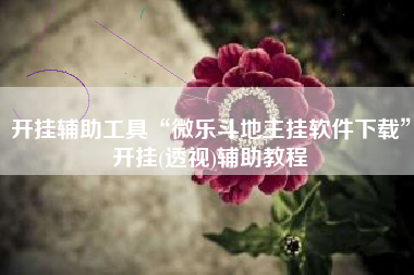 开挂辅助工具“微乐斗地主挂软件下载”开挂(透视)辅助教程