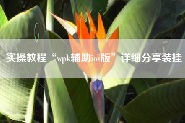 实操教程“wpk辅助ios版”详细分享装挂