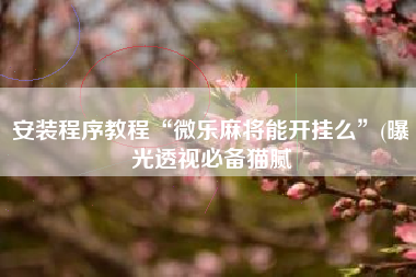 安装程序教程“微乐麻将能开挂么”(曝光透视必备猫腻