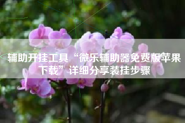 辅助开挂工具“微乐辅助器免费版苹果下载”详细分享装挂步骤