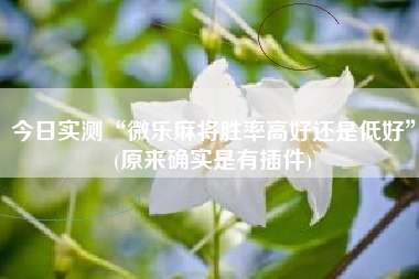 今日实测“微乐麻将胜率高好还是低好	”(原来确实是有插件)