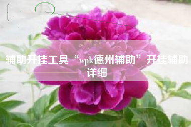 辅助开挂工具“wpk德州辅助”开挂辅助详细