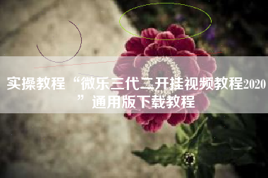 实操教程“微乐三代二开挂视频教程2020”通用版下载教程