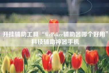 开挂辅助工具“WePoker辅助器哪个好用”科技辅助神器手机