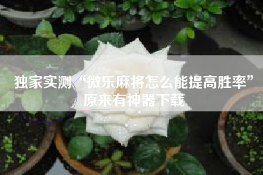 独家实测“微乐麻将怎么能提高胜率”原来有神器下载