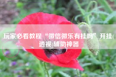 玩家必看教程“微信微乐有挂吗	”开挂(透视)辅助神器