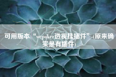 可用版本“wepoker透视挂插件	”(原来确实是有插件)