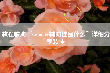 教程辅助“wepoker辅助挂是什么”详细分享装挂