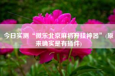 今日实测“微乐北京麻将开挂神器”(原来确实是有插件)