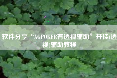 软件分享“AGPOKER有透视辅助	”开挂(透视)辅助教程