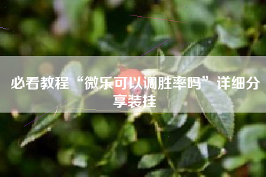 必看教程“微乐可以调胜率吗	”详细分享装挂