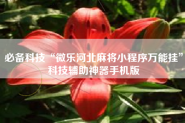 必备科技“微乐河北麻将小程序万能挂”科技辅助神器手机版