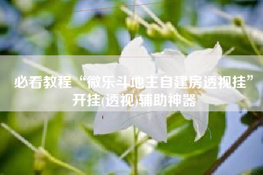 必看教程“微乐斗地主自建房透视挂	”开挂(透视)辅助神器