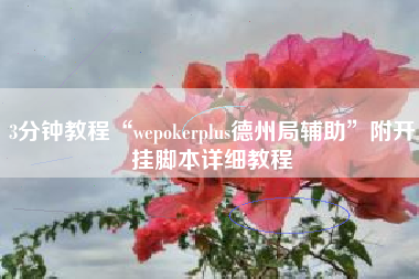 3分钟教程“wepokerplus德州局辅助”附开挂脚本详细教程