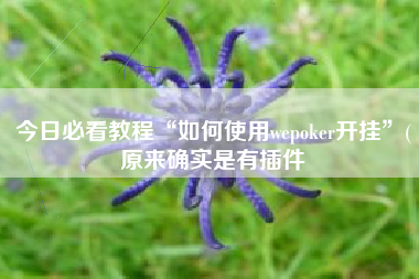 今日必看教程“如何使用wepoker开挂	”(原来确实是有插件