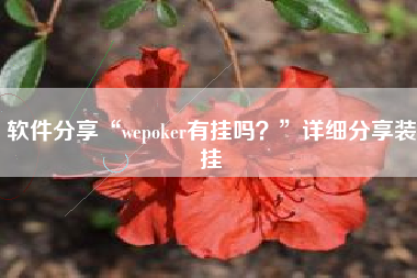 软件分享“wepoker有挂吗？	”详细分享装挂