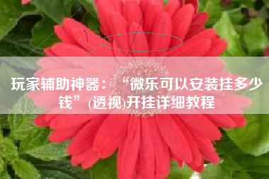 玩家辅助神器：“微乐可以安装挂多少钱	”(透视)开挂详细教程