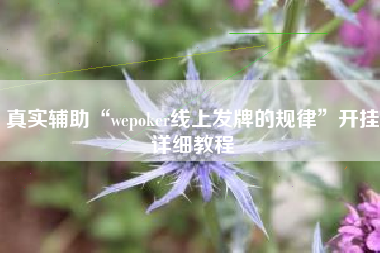 真实辅助“wepoker线上发牌的规律	”开挂详细教程
