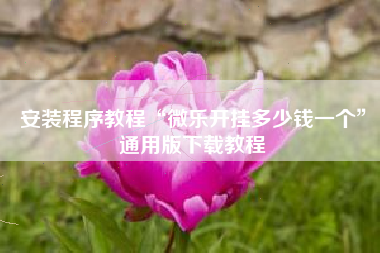 安装程序教程“微乐开挂多少钱一个”通用版下载教程