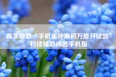 真实辅助“手机雀神麻将万能开挂器”科技辅助神器手机版