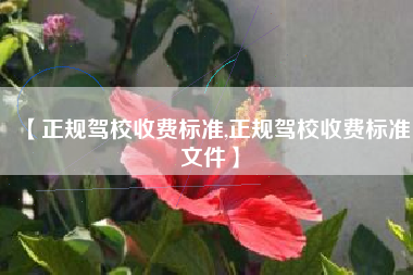 【正规驾校收费标准,正规驾校收费标准文件】