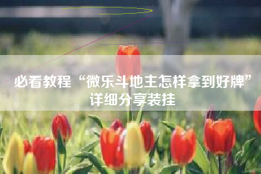 必看教程“微乐斗地主怎样拿到好牌”详细分享装挂