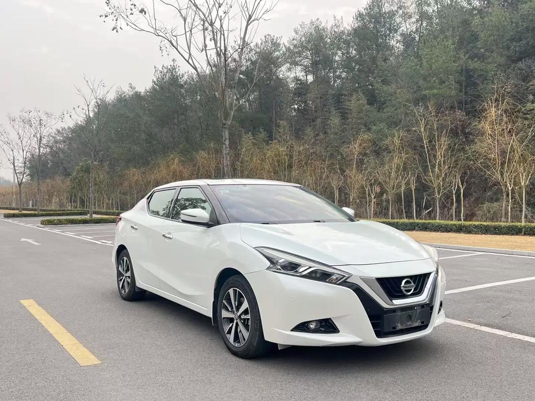 东风日产蓝鸟停产了吗,东风日产蓝鸟停产了?