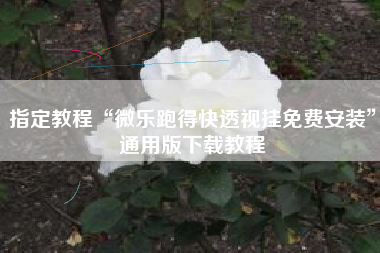 指定教程“微乐跑得快透视挂免费安装	”通用版下载教程