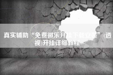 真实辅助“免费微乐开挂下载安装	”(透视)开挂详细教程