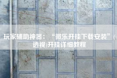 玩家辅助神器：“微乐开挂下载安装”(透视)开挂详细教程