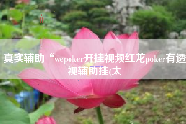 真实辅助“wepoker开挂视频红龙poker有透视辅助挂(太
