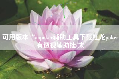 可用版本“aapoker辅助工具下载红龙poker有透视辅助挂(太