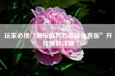 玩家必搜“微乐麻将万能挂免费版	”开挂辅助详细