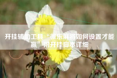 开挂辅助工具“微乐麻将如何设置才能赢”附开挂脚本详细