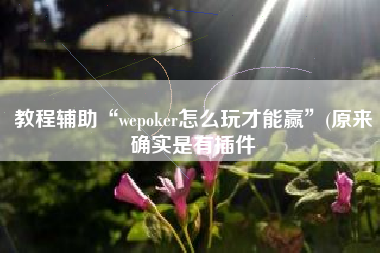 教程辅助“wepoker怎么玩才能赢”(原来确实是有插件