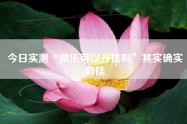 今日实测“微乐可以开挂吗”其实确实有挂