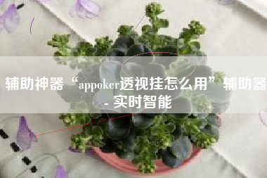 辅助神器“appoker透视挂怎么用”辅助器 - 实时智能
