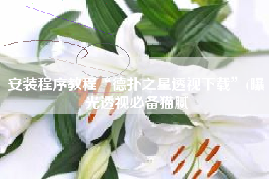 安装程序教程“德扑之星透视下载”(曝光透视必备猫腻