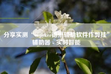 分享实测“wepoker德州辅助软件作弊挂”辅助器 - 实时智能