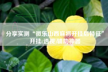 分享实测“微乐山西麻将开挂后特征	”开挂(透视)辅助神器