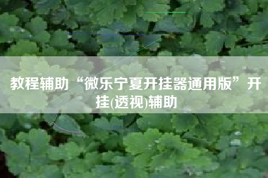 教程辅助“微乐宁夏开挂器通用版	”开挂(透视)辅助
