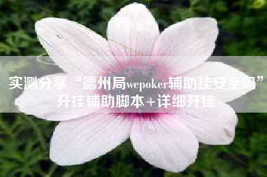 实测分享“德州局wepoker辅助挂安全吗	”开挂辅助脚本+详细开挂