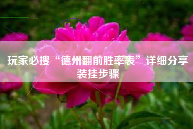 玩家必搜“德州翻前胜率表	”详细分享装挂步骤