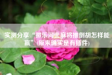 实测分享“微乐河北麻将推倒胡怎样能赢”(原来确实是有插件)