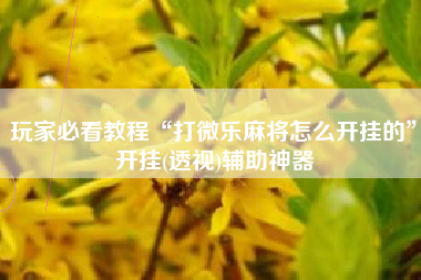玩家必看教程“打微乐麻将怎么开挂的”开挂(透视)辅助神器