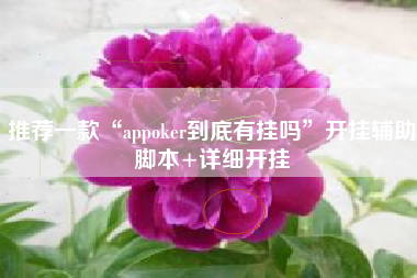 推荐一款“appoker到底有挂吗	”开挂辅助脚本+详细开挂